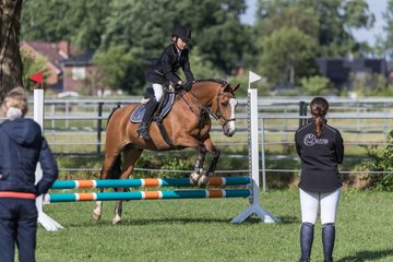 Bild 167 - Pony Akademie Turnier